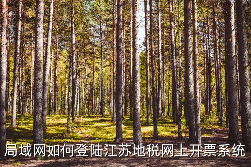 江蘇地稅局個(gè)人如何登陸注冊，地稅網(wǎng)上打印報(bào)表提示沒有注冊要怎么注冊呢