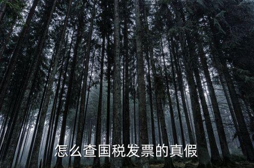 國稅如何驗(yàn)證發(fā)票，增值稅發(fā)票網(wǎng)上怎么認(rèn)證