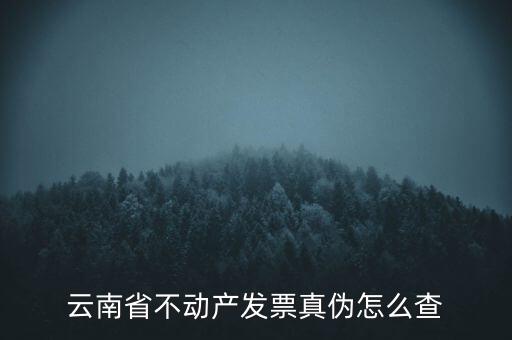 不動(dòng)產(chǎn)統(tǒng)一發(fā)票如何查詢真?zhèn)?，銷售不動(dòng)產(chǎn)統(tǒng)一發(fā)票真假怎么辨別