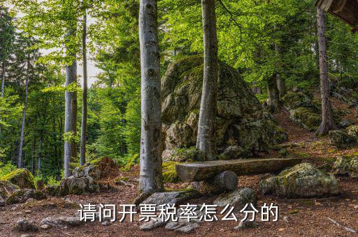 開票如何選擇稅率，未達(dá)到起征點(diǎn)開具普通發(fā)票稅率怎么選擇