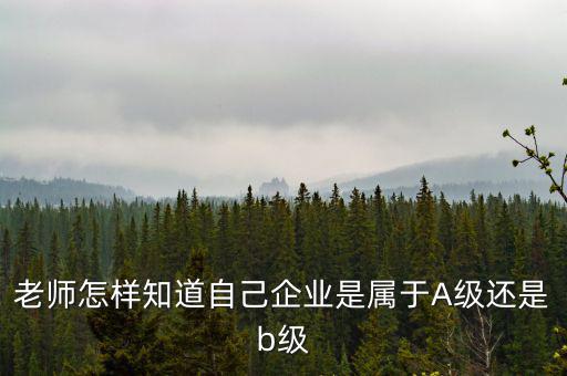 企業(yè)級別如何查，企業(yè)資質等級怎樣查