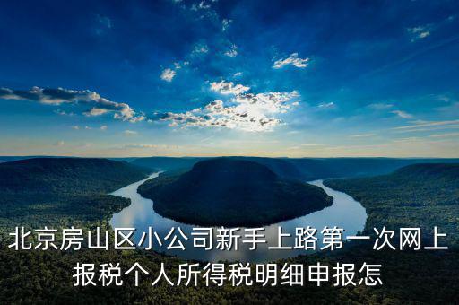 北京市網(wǎng)上稅務(wù)局如何報(bào)稅，北京稅務(wù)局網(wǎng)上報(bào)到怎么操作