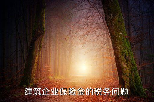 保險(xiǎn)公司稅務(wù)管理如何處理，建筑企業(yè)保險(xiǎn)金的稅務(wù)問(wèn)題