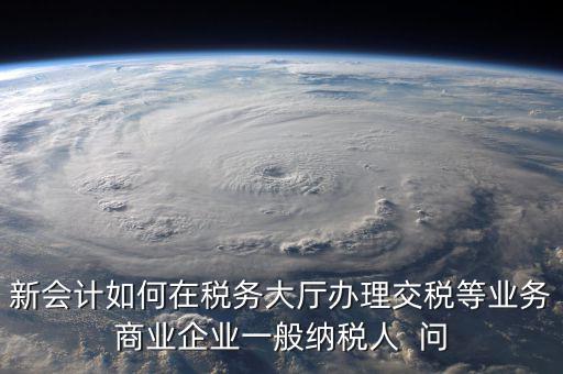 新會計(jì)如何在稅務(wù)大廳辦理交稅等業(yè)務(wù)商業(yè)企業(yè)一般納稅人  問