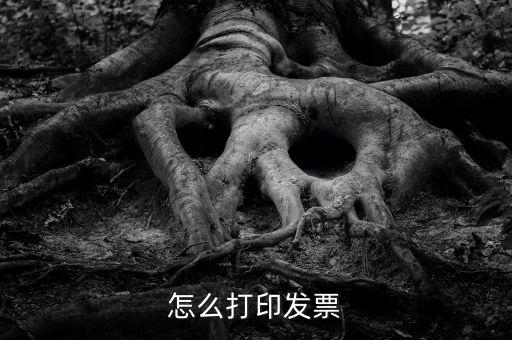 億企贏攜稅寶發(fā)票如何打印，這樣怎么打印電子發(fā)票