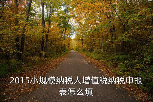 小規(guī)模納稅人國(guó)稅申報(bào)表如何填，小規(guī)模納稅人的報(bào)表怎么填