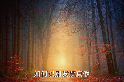 深圳國稅局發(fā)票如何查詢真?zhèn)尾樵?，如何在認(rèn)證前查驗發(fā)票真?zhèn)?/></a></span><span id=