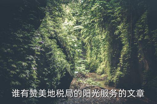 如何表揚辦稅廳工作人員，辦稅人員擅自離職未辦理交接手續(xù)客觀描述怎么描述