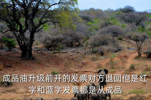 成品油升級(jí)前開的發(fā)票對(duì)方退回但是紅字和藍(lán)字發(fā)票都是從成品