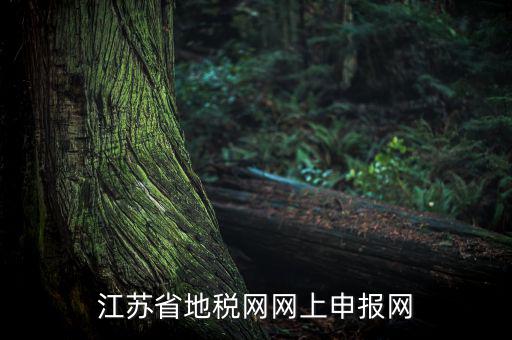 江蘇如何網上報稅，現在江蘇能不能進行網上抄報稅