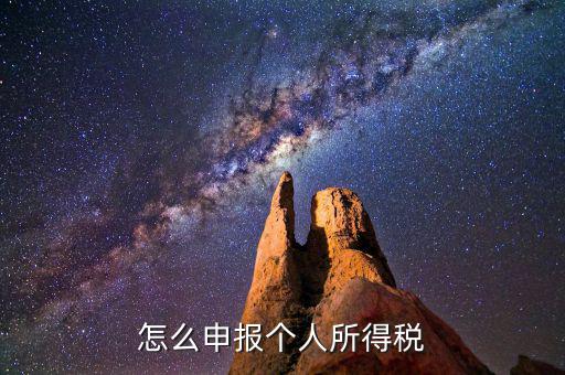 怎么申報(bào)個人所得稅