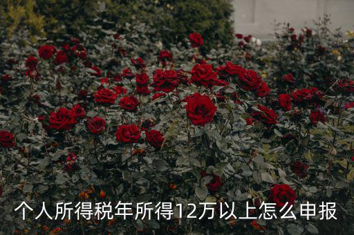 陜西地稅 12萬以上如何申報，個人所得稅年所得12萬以上怎么申報