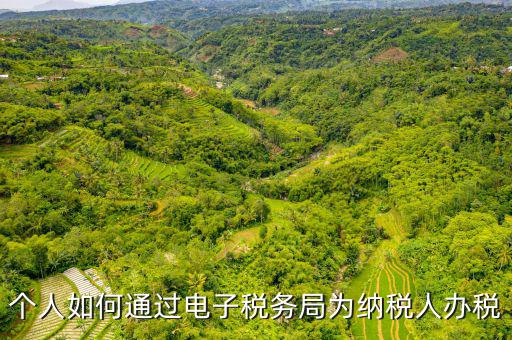 個人如何通過電子稅務局為納稅人辦稅
