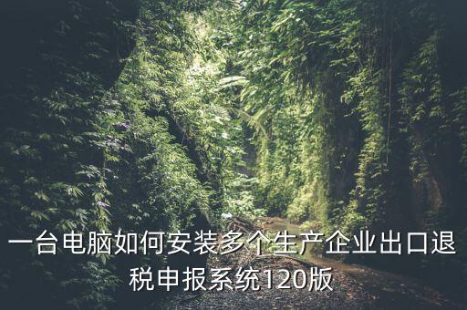 一臺(tái)電腦如何安裝多個(gè)生產(chǎn)企業(yè)出口退稅申報(bào)系統(tǒng)120版