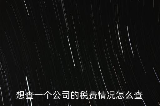 如何查詢(xún)公司納稅記錄查詢(xún)，想查一個(gè)公司的稅費(fèi)情況怎么查