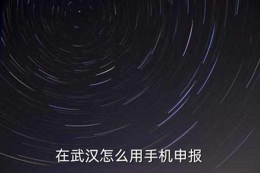 在武漢怎么用手機申報