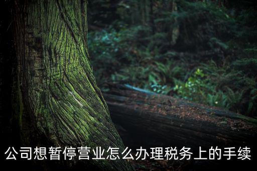 北京市如何辦理單位稅務(wù)暫停，企業(yè)暫停營(yíng)業(yè)怎么辦理