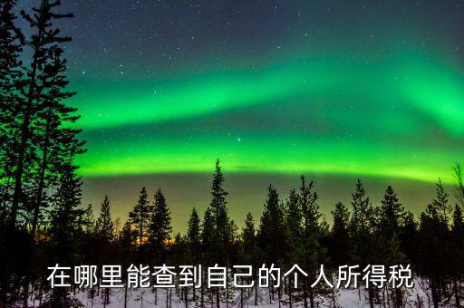稅務如何查個稅，個稅怎么查