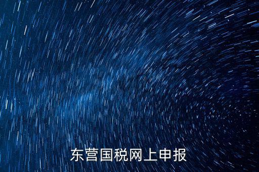 東營(yíng)國(guó)稅如何網(wǎng)上申報(bào)，東營(yíng)國(guó)稅網(wǎng)上申報(bào)