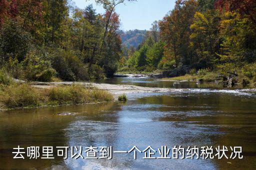 如何查詢企業(yè)納稅，去哪里可以查到一個企業(yè)的納稅狀況