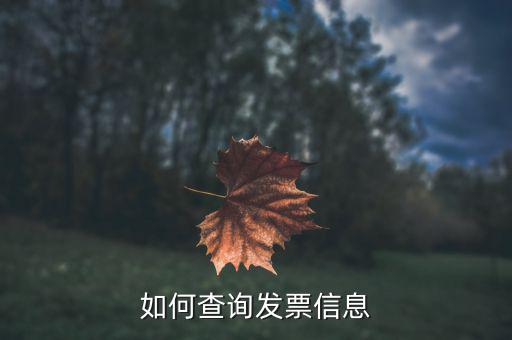 開(kāi)票系統(tǒng)如何查詢票種，如何從金稅盤中看出公司票種