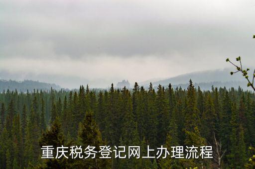 重慶稅務(wù)登記網(wǎng)上辦理流程