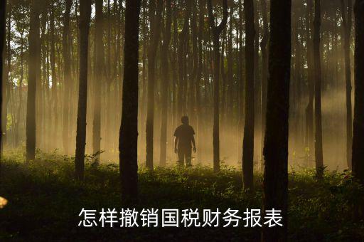 怎樣撤銷(xiāo)國(guó)稅財(cái)務(wù)報(bào)表