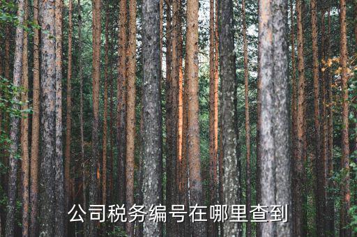 如何查遼寧省國稅局納稅識別號，跪求 在哪點能查詢到納稅人識別號