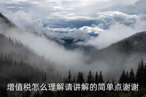 納稅人如何認(rèn)識增值，增值稅的理解