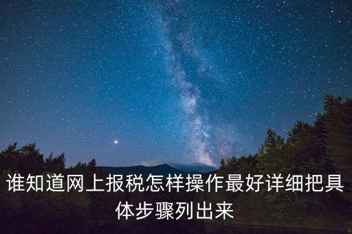 如何進(jìn)行網(wǎng)上納稅申報，如何進(jìn)行網(wǎng)上申報稅款