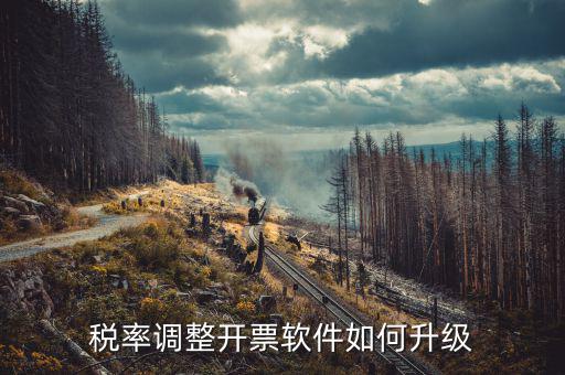 成品油企業(yè)開票系統(tǒng)如何升級，開票系統(tǒng)升級的步驟
