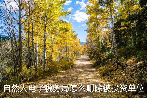 電子稅務(wù)局如何刪除不管的企業(yè)，電子稅務(wù)局網(wǎng)頁(yè)怎么清除企業(yè)稅號(hào)記錄