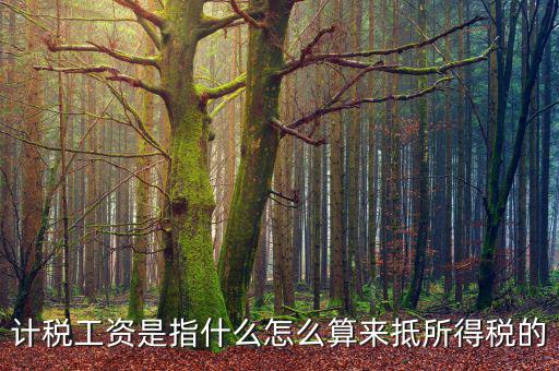 工資如何抵扣所得稅，企業(yè)所得稅工資抵扣的一些訣竅