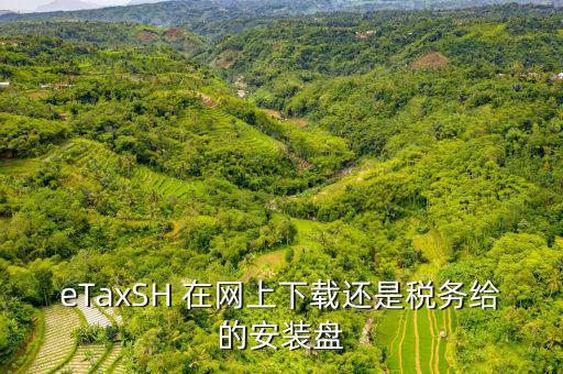 eTaxSH 在網(wǎng)上下載還是稅務(wù)給的安裝盤(pán)