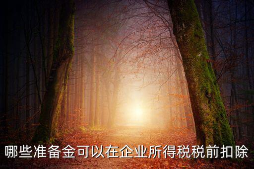 金融企業(yè)貸款損失準(zhǔn)備金如何稅前扣除，哪些準(zhǔn)備金可以在企業(yè)所得稅稅前扣除
