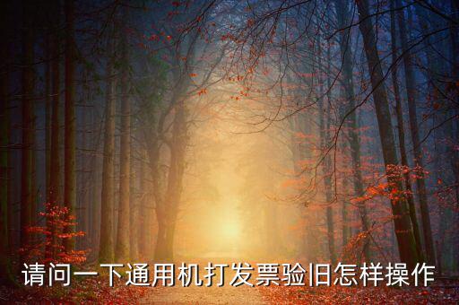 定額通用發(fā)票如何驗(yàn)舊，請(qǐng)問(wèn)一下通用機(jī)打發(fā)票驗(yàn)舊怎樣操作