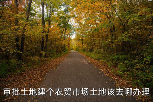 農(nóng)貿(mào)市場(chǎng)土地如何取得，審批土地建個(gè)農(nóng)貿(mào)市場(chǎng)土地該去哪辦理
