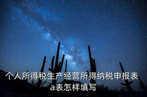個人經(jīng)營所得申報表a表如何填，個人所得稅經(jīng)營所得稅申報表a表怎么填