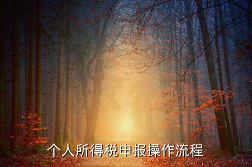自然人所得稅如何安裝，個(gè)人所得稅如何進(jìn)行申報(bào)和核算