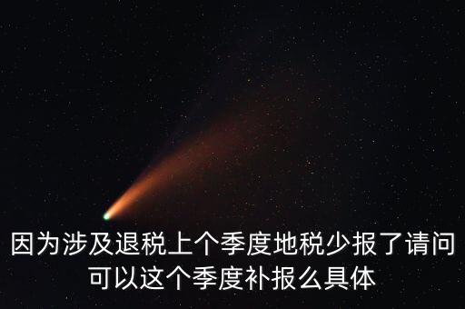 地稅如何補充申報，因為涉及退稅上個季度地稅少報了請問可以這個季度補報么具體