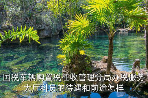國稅車輛購置稅征收管理分局辦稅服務大廳科員的待遇和前途怎樣