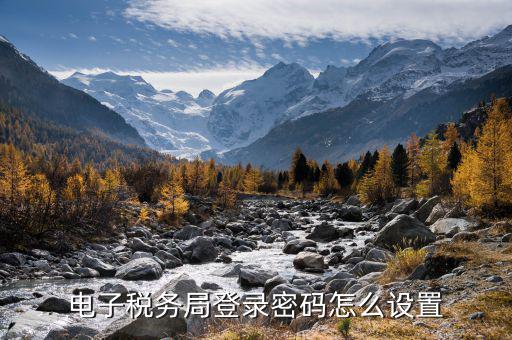 電子稅務局登錄密碼怎么設置
