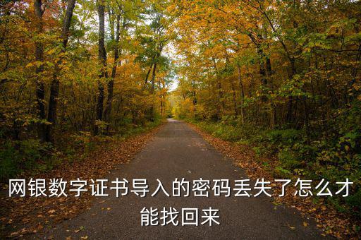 數(shù)字證書密碼錯誤如何找回，營業(yè)執(zhí)照數(shù)字證書密碼忘記了 怎么辦