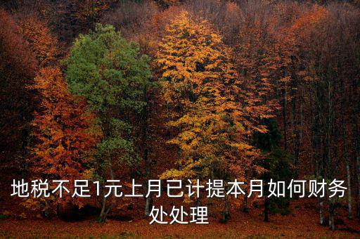 財(cái)務(wù)處如何落實(shí)數(shù)據(jù)地稅，地稅不足1元上月已計(jì)提本月如何財(cái)務(wù)處處理