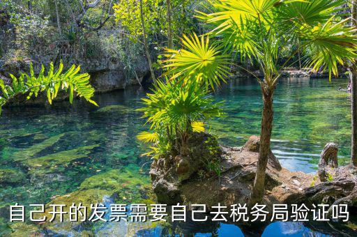 如何去稅務局驗證發(fā)票嗎，發(fā)票怎么去稅務局驗證需要什么資料