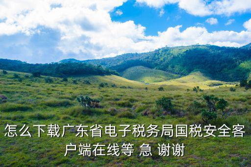 廣州電子稅務(wù)局如何登陸，怎么下載廣東省電子稅務(wù)局國(guó)稅安全客戶端在線等 急 謝謝
