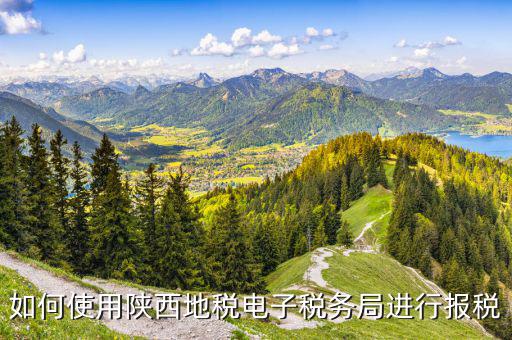 陜西地稅國稅網(wǎng)上如何申報，如何使用陜西地稅電子稅務(wù)局進(jìn)行報稅
