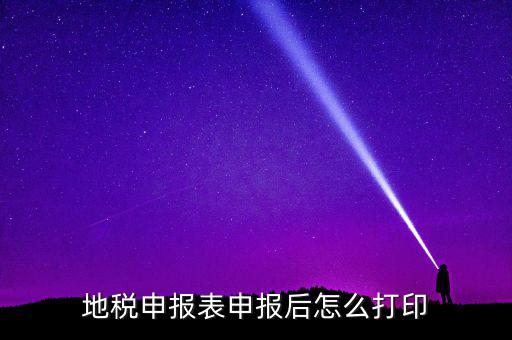 地稅如何打印申報表，地稅納稅申報表怎么打印