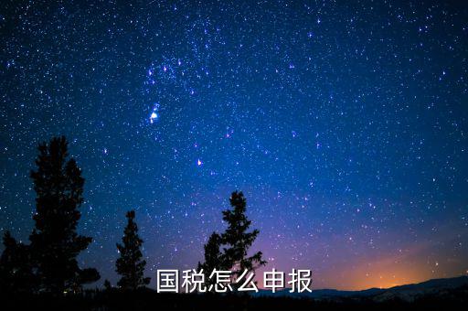 北京國稅如何登陸申報(bào)，國稅如何網(wǎng)上零申報(bào) 具體步驟有五個(gè)