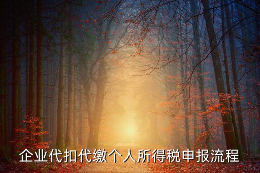 網(wǎng)上如何進入代扣代繳申報，企業(yè)代扣代繳個人所得稅申報流程